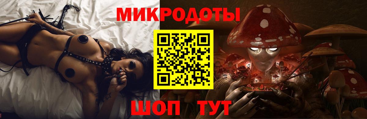 Псилоцибиновые грибы Cubensis Обь